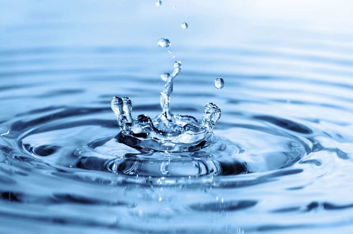 Water facts - Did You Know? cover image
